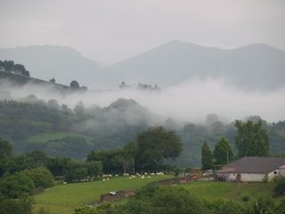 Brume du matin.